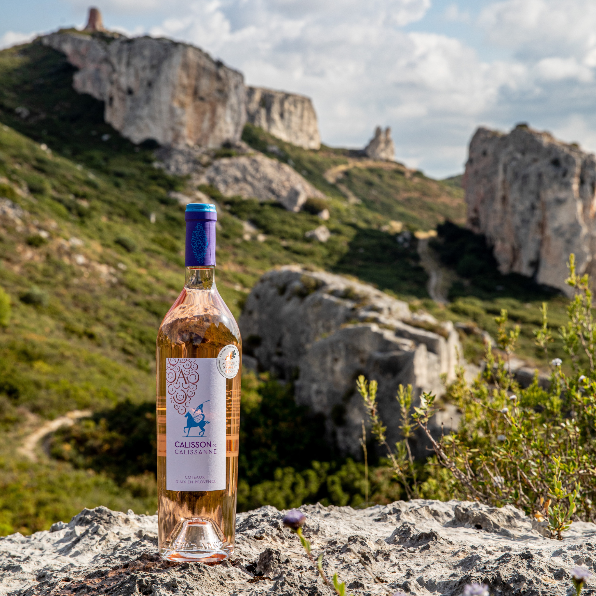 Eine Flasche Rosewein Calisson im Langut Calissanne in Frankreich